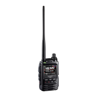 Preview: Yaesu FT3DR