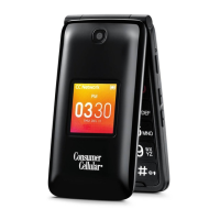 Preview: GO FLIP Consumer Cellular