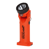 Preview: NightStick Intrant XPP-5566