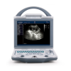 Diagnostic Equipment Logo