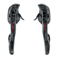 Preview: CAMPAGNOLO EPS