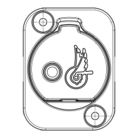 Preview: CAMPAGNOLO EPS V4
