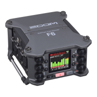 Preview: Zoom F6