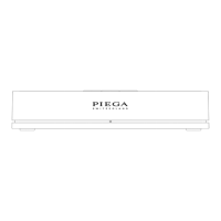 Preview: Piega Premium Wireless Series