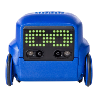 Preview: Spinmaster Boxer
