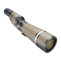 Preview: Bushnell FORGE