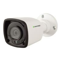 Preview: Vitek Transcendent Series