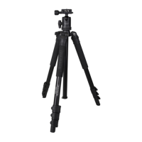 Preview: Promaster Scout