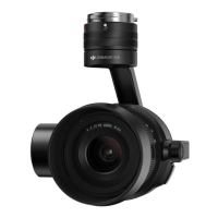 Preview: dji ZENMUSE X5S