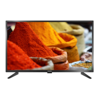 Preview: Toshiba 32 L310 U20