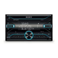 Preview: Sony DSX-B700