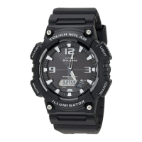 Preview: Casio 5208