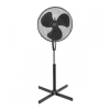 Fan Logo