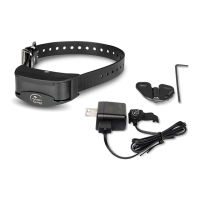 Preview: SportDOG SBC-10