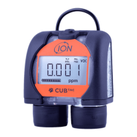 Preview: ION CUB
