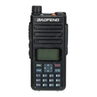 Preview: Baofeng DM-1801