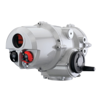 Preview: rotork IQT Series