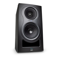 Preview: KALI AUDIO IN-8