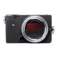 Preview: Sigma FP