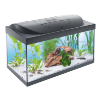 Preview: Tetra Starter Line 54 L