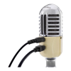 Microphone Logo