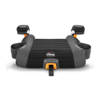 Preview: Chicco GoFit