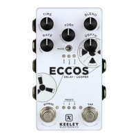 Preview: Keeley ECCOS
