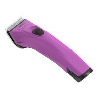 Preview: Wahl Creativa