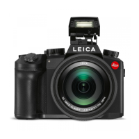 Preview: Leica V-LUX 5