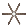 Fan Logo