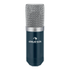 Microphone Logo