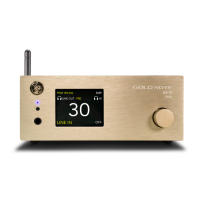 Preview: Gold Note DS-10