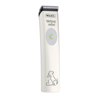 Preview: Wahl 1584