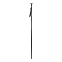 Preview: Celestron Hummingbird Monopod