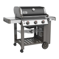 Preview: GENESIS II E-310