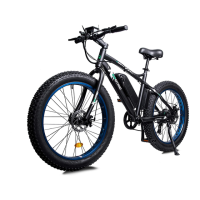 Preview: Ecotric Folding Fat Bike