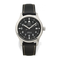 Preview: iwc MARK XV