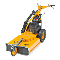 Preview: AS MOTOR Allmaher AS 65 2T ES