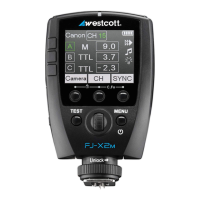 Preview: Westcott FJ-X2m