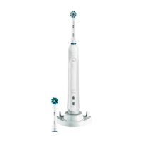 Preview: Braun Pro 500