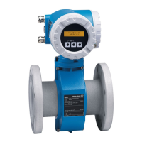 Preview: Endress+Hauser Promag Series