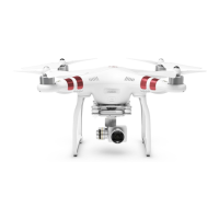 Preview: dji Phantom 3 Standard