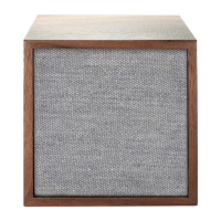 Preview: Tivoli Audio CUBE