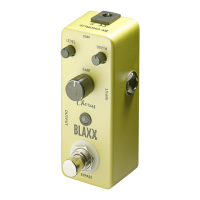 Preview: Stagg BLAXX