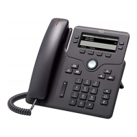 Preview: Cisco 6851