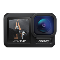 Preview: Niceboy VEGA