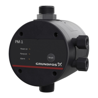 Preview: Grundfos PM 1
