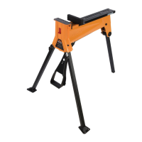 Preview: Triton SJA100E