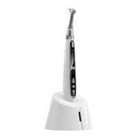 Preview: Woodpecker Endo Smart
