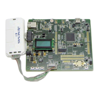 Renesas RX Series
